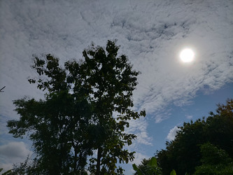 Similar image 22499372