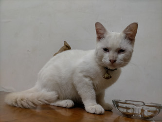 Similar image 22499389