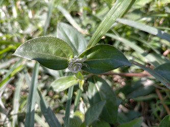 Similar image 22499402