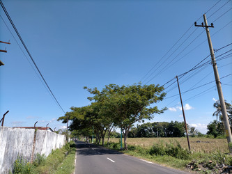 Similar image 22499419