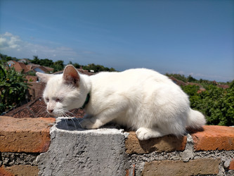 Similar image 22499447