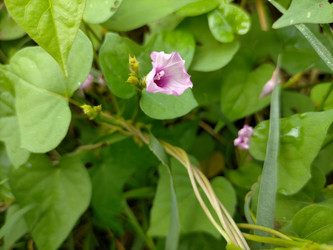 Similar image 22501303