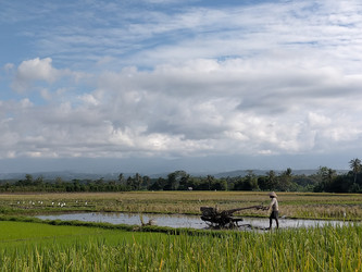 Similar image 22501333