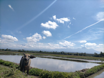 Similar image 22501334