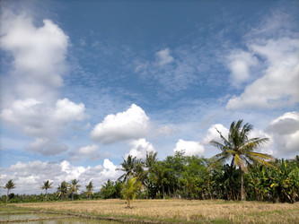 Similar image 22501348