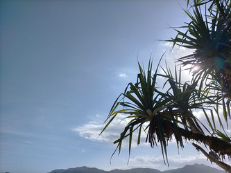 Similar image 22501349