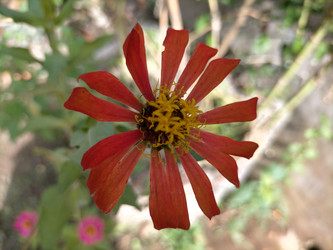 Similar image 22532556