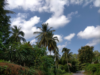 Similar image 22532595