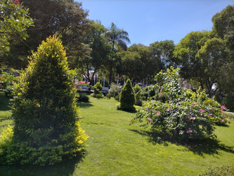 Similar image 22532614