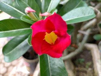 Similar image 22532615