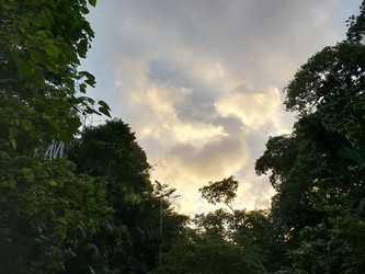 Similar image 22532655