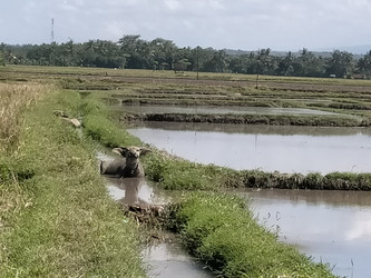 Similar image 22532656