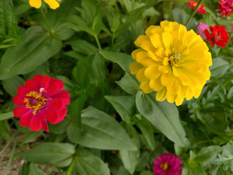 Similar image 22532698