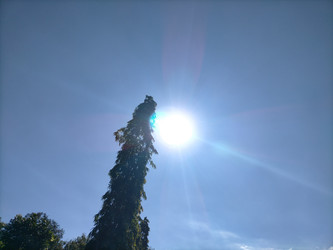 Similar image 22532722