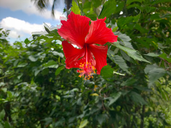 Similar image 22532724