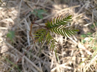 Similar image 22532742