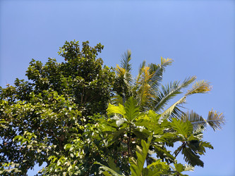 Similar image 22532743