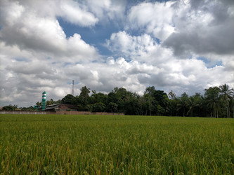 Similar image 22532767