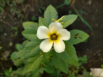 Similar image 22532789