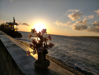 Similar image 22532790