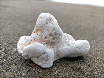 Similar image 22532835