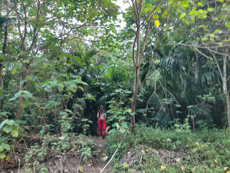 Similar image 22532882