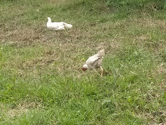 Similar image 22532883