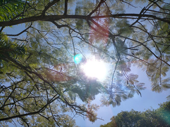 Similar image 22532885