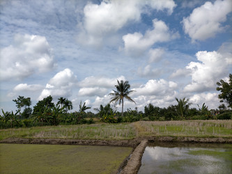 Similar image 22532928