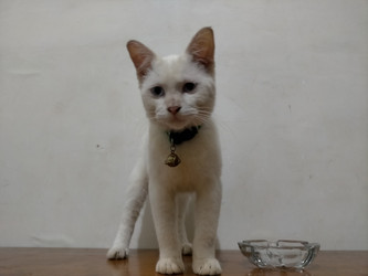 Similar image 22532948