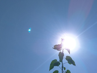 Similar image 22532949