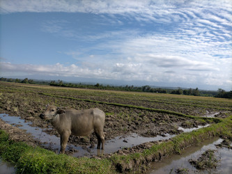 Similar image 22532970