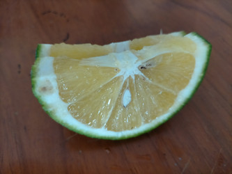 Similar image 22532972