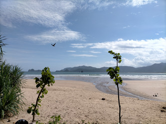 Similar image 22533041