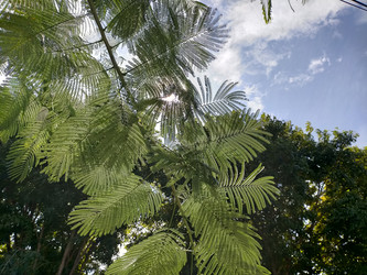 Similar image 22533064