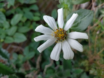 Similar image 22533108