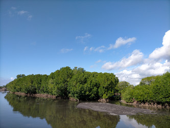 Similar image 22533131