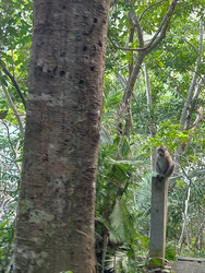 Similar image 22533155