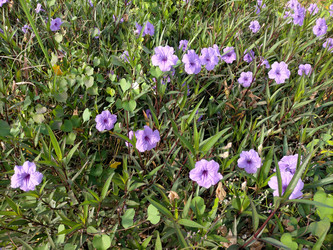 Similar image 22533176