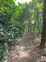 Similar image 22533222