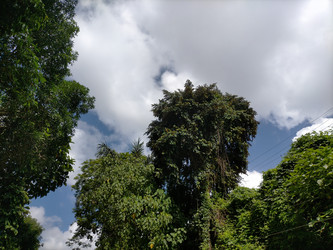 Similar image 22535683