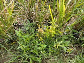 Similar image 22535712