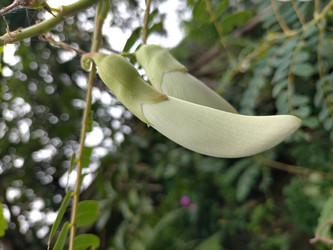 Similar image 22535731