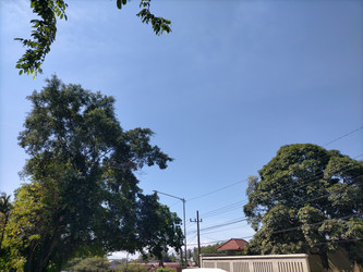 Similar image 22535745