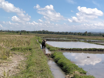 Similar image 22535746