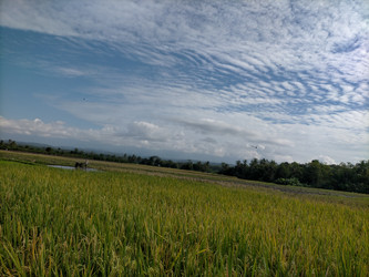 Similar image 22535777