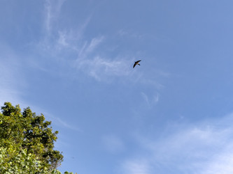 Similar image 22535788