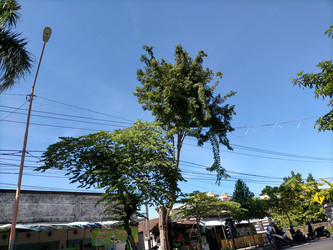 Similar image 22535805