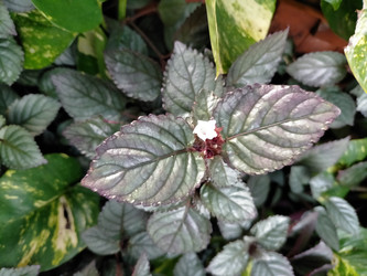 Similar image 22535833