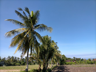 Similar image 22535834